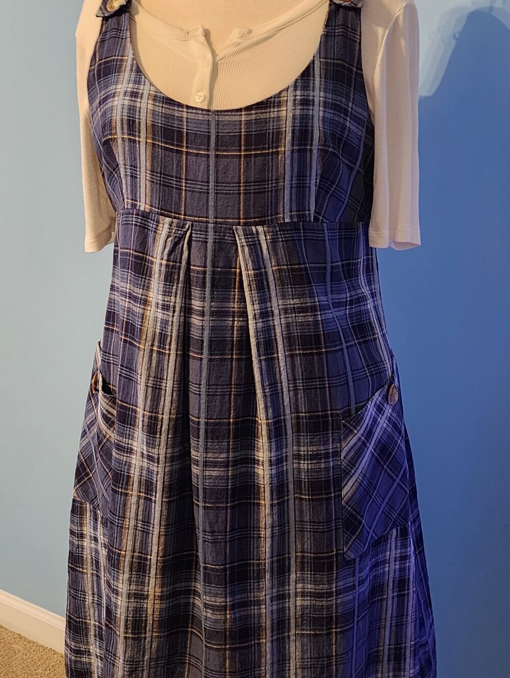 Classic Blue Plaid Colored A-Line Women's Dress